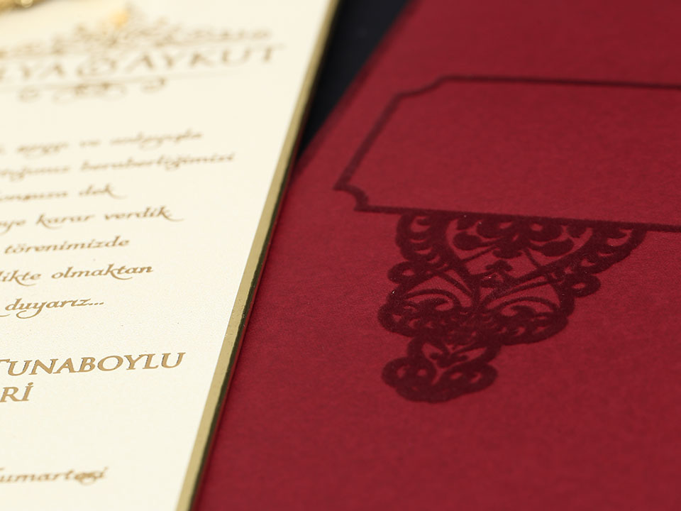 Alyans Davetiye     2015 - 4